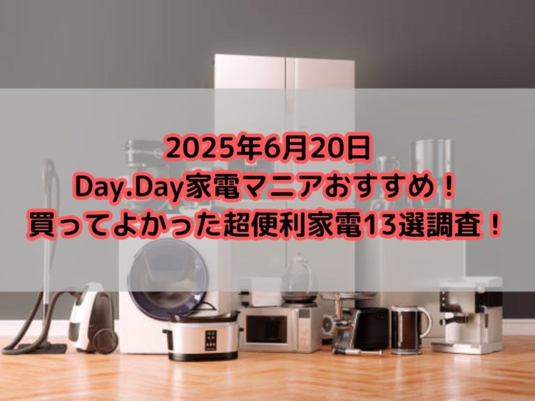 Day.Day家電マニアおすすめ！買ってよかった超便利家電13選調査！（2025年6月20日版）