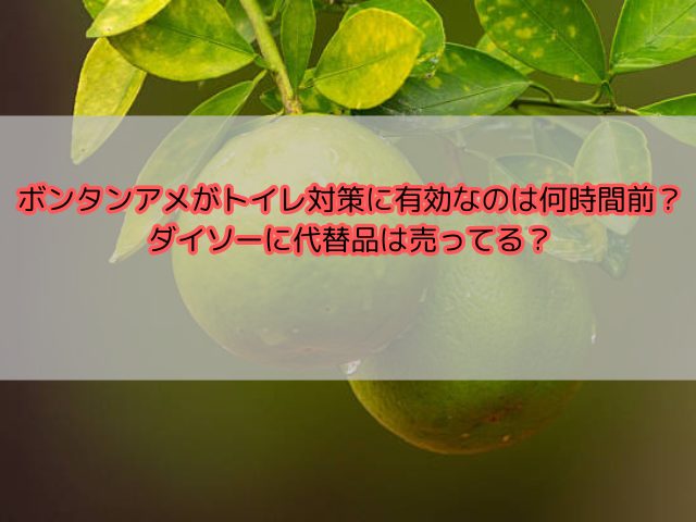 ボンタンアメでトイレ対策は何時間前？ダイソーに代替品あるか食べるタイミングも紹介！