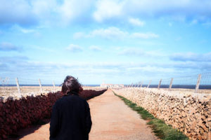 匿名の恋人たち（Netflix）相関図は？あらすじや原作から見る感想や考察！