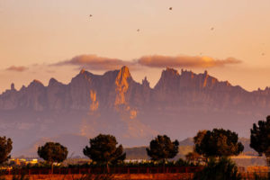 【モンベル(mont-bell)福袋2026】中身ネタバレ！予約販売日や購入方法も紹介！