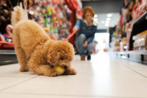 【ジェラートピケ】福袋2026の中身ネタバレ！予約販売日や再販や口コミなど値段についても調査！