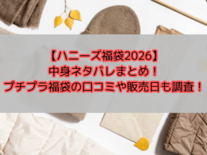 【ハニーズ福袋2026】中身ネタバレと口コミ速報！プチプラ福袋が本当にお得な理由とは？