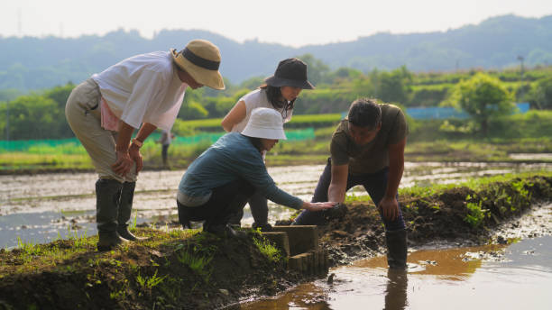 ヤマギシ会信者に所属している有名人8名とは？結婚や老後も安泰の宗教なのか？