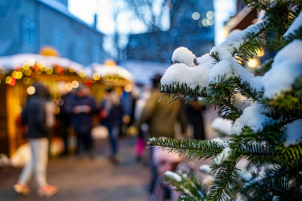 【4年目の棘】はどこで無料で読める？シーモアやAmazon Kindleまで調査！